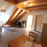 公寓 Ferien- Und Reiterhof Klein Stavern