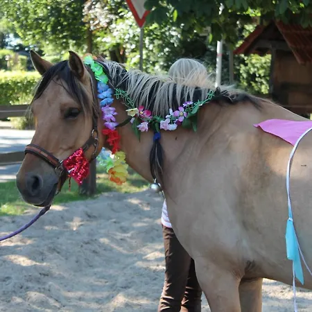 Ferien- Und Reiterhof Klein 아파트 *