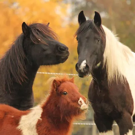 Apartamento Ferien- Und Reiterhof Klein *