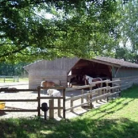 Ferien- Und Reiterhof Klein *