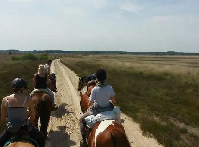 Lägenhet Ferien- Und Reiterhof Klein *