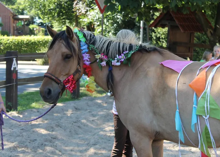 Ferien- Und Reiterhof Klein Lägenhet *